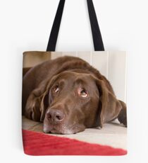Chocolate Labrador Tote Bag