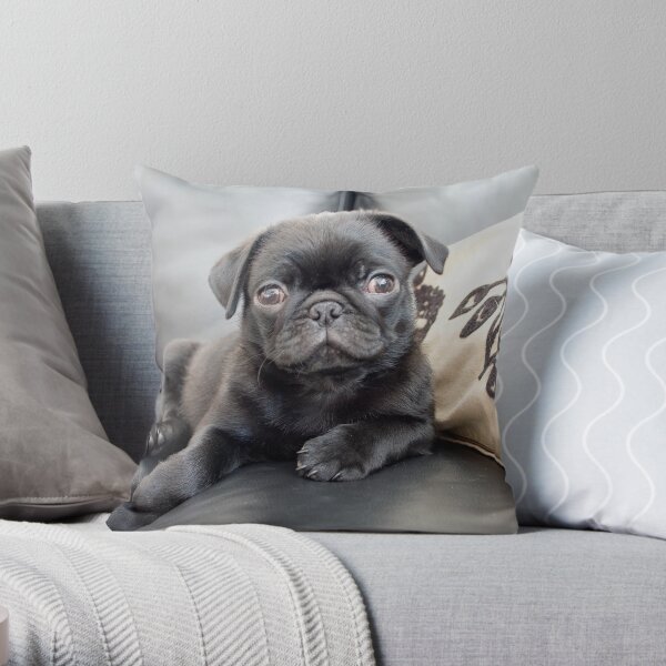 Pug Puppy Throw Pillow