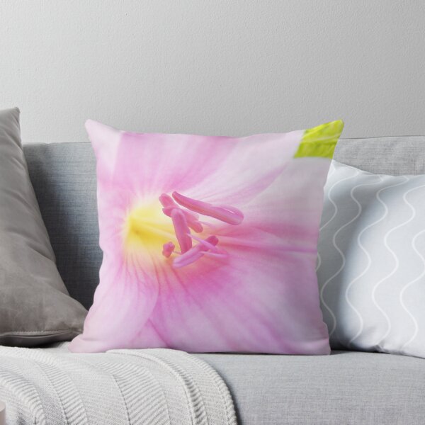 Item preview, Lily the Pink...Georgie's Choice #3 designed and sold by Meg Hart.