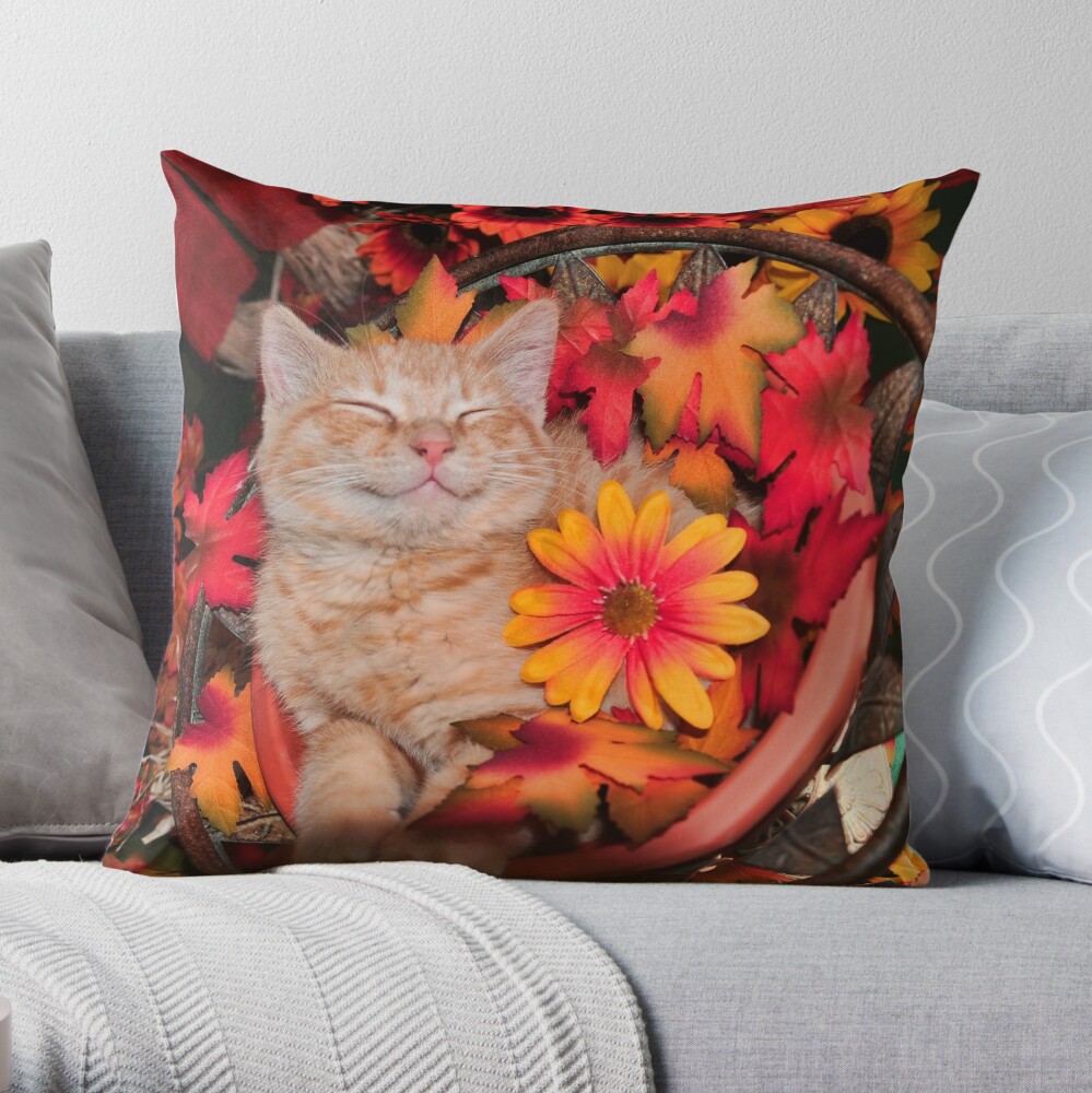 https://ih1.redbubble.net/image.798650892.4459/throwpillow,large,1000x-bg,f8f8f8-c,0,200,1000,1000.u1.jpg