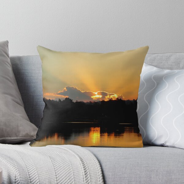 At the End of the Day Throw Pillow