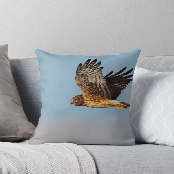 Item preview, Northern Harrier designed and sold by Rob Lavoie.