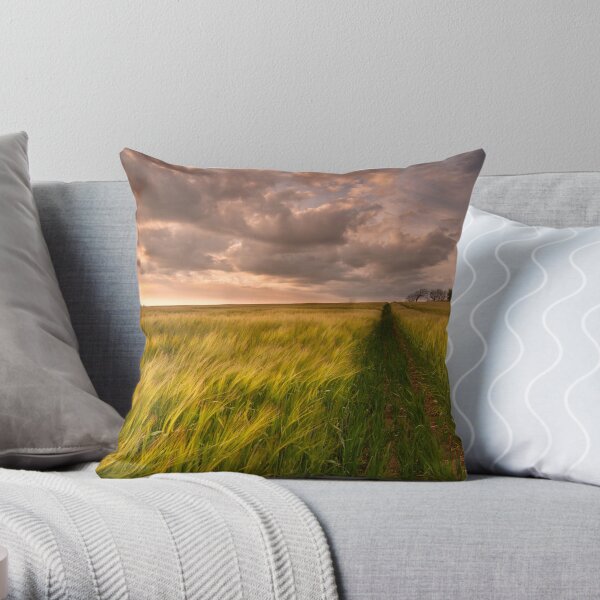 Tracks Throw Pillow