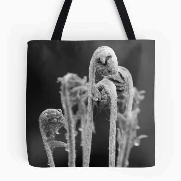 Item preview, Fiddleheads designed and sold by Patrick Downey.