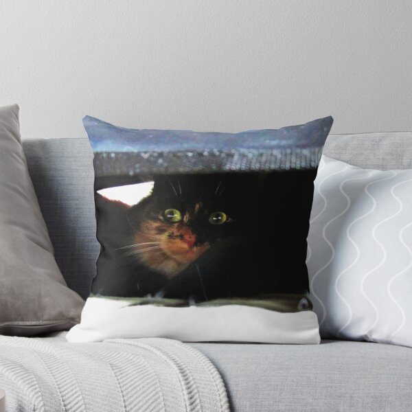 Item preview, Hidden Agenda designed and sold by Ladymoose.