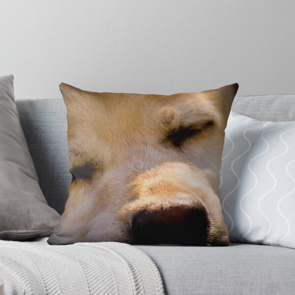 Item preview, Drowsy Eyes... designed and sold by Sally Werner.