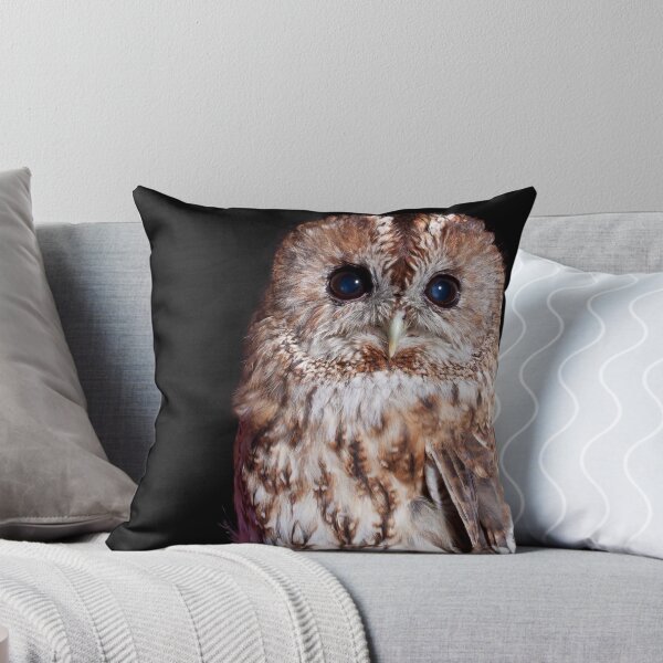 Item preview, Mr Hoot designed and sold by Daniel Yates.