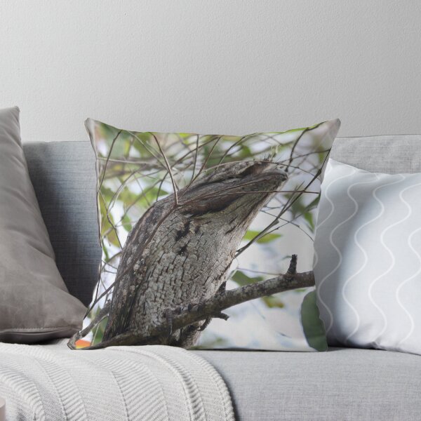 Item preview, There's New Frogmouth In Town! designed and sold by byronbackyard.