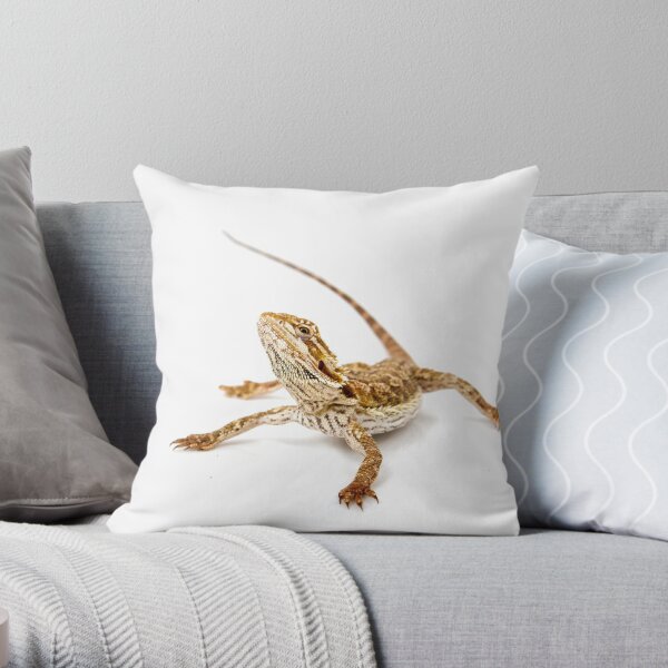 Bearded Dragon - pogona vitticeps Throw Pillow