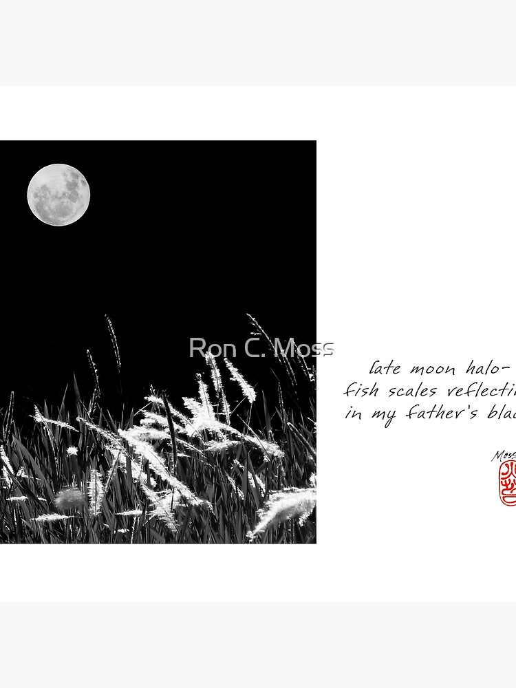 Late Moon by ronmoss