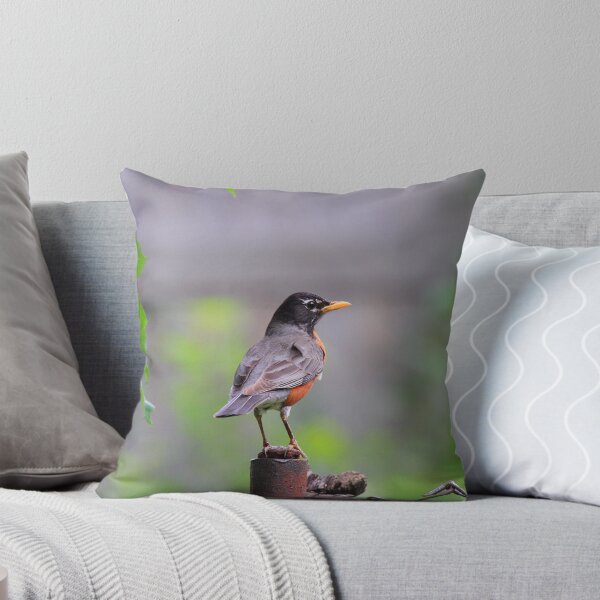 Item preview, Robin Redbreast designed and sold by pmarella.