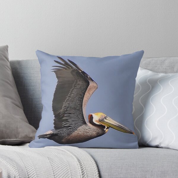 Item preview, Brown Pelican, Galveston, TX designed and sold by Chris Ferrell.