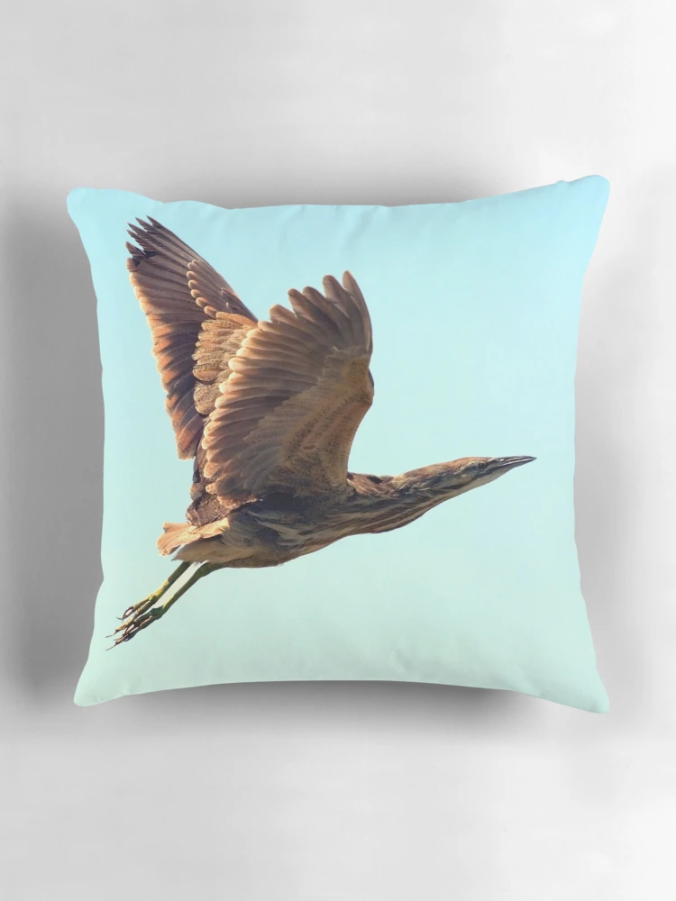 Aperçu 3 sur 4. Coussin avec l'œuvre American Bittern créée et vendue par Randall Ingalls.