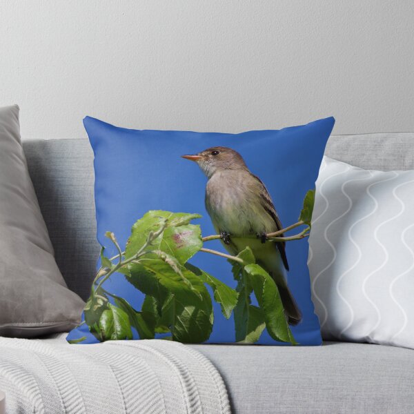 Item preview, Willow Flycatcher designed and sold by John Absher.