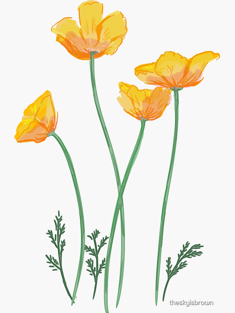 "California Poppy Design" Sticker by theskyisbrown | Redbubble