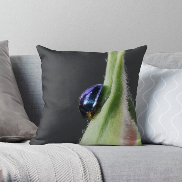 Steelblue Ladybird - Halmus chalybeus Throw Pillow