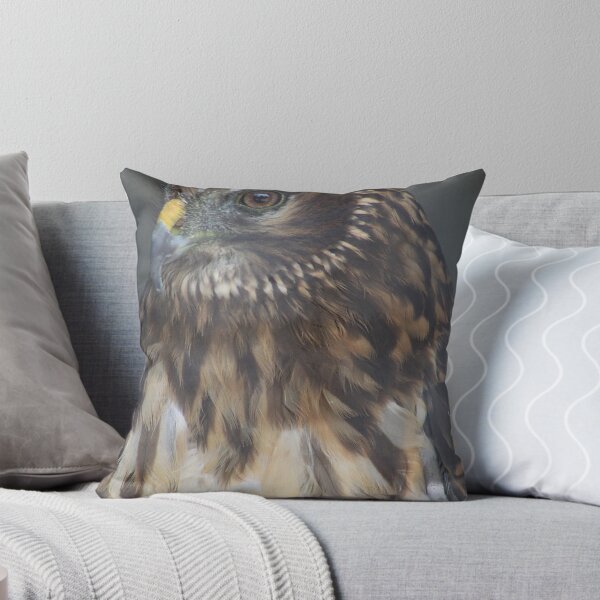 Item preview, Northern Harrier designed and sold by Alyce Taylor.
