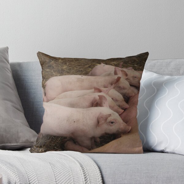 Item preview, Hungry Piglets  designed and sold by karina5.