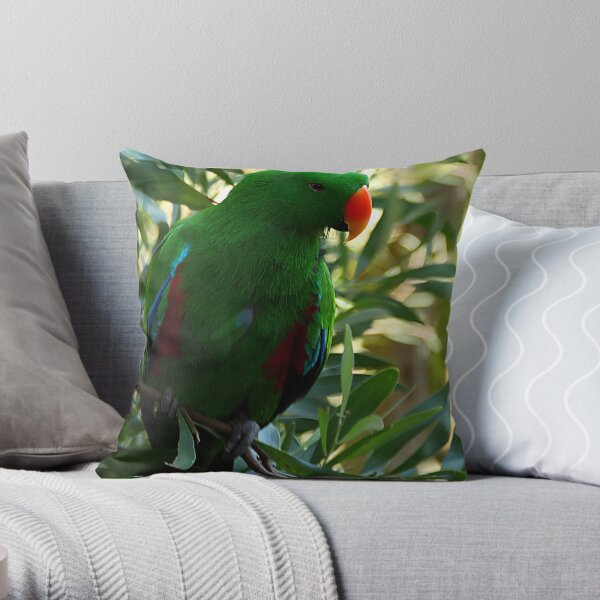 Eclectus Parrot Throw Pillow