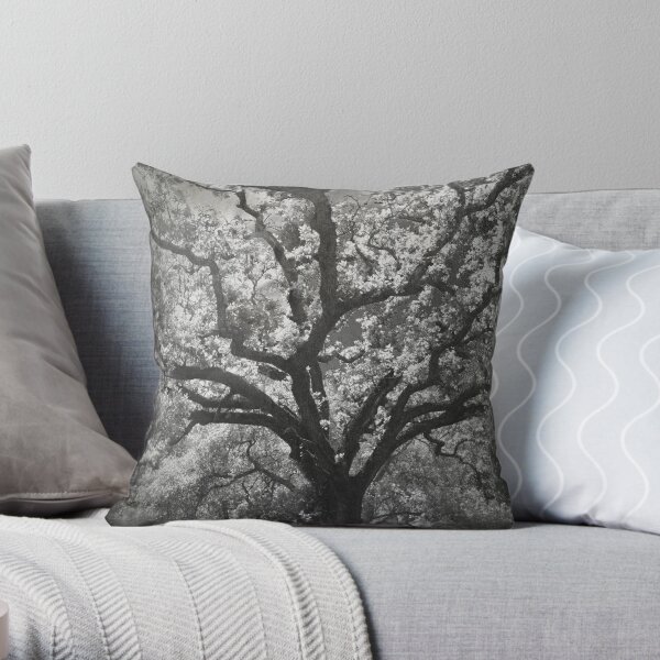 A Life Worth Living Throw Pillow