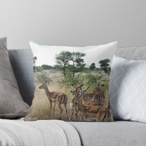 Item preview, "Awesome Ewes" - impala females - Kruger nat Park South Africa designed and sold by Sandy Beaton.