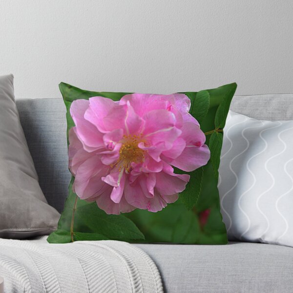 Item preview, Trail Flower I designed and sold by SPPhotography.