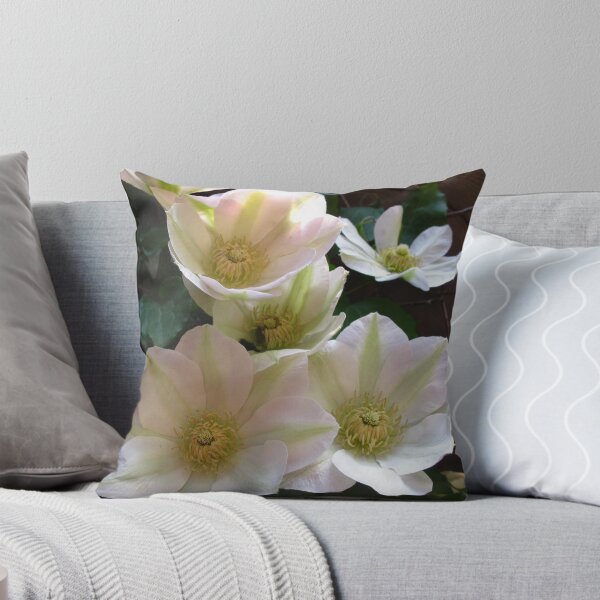 Item preview, Clematis in June designed and sold by MarianBendeth.