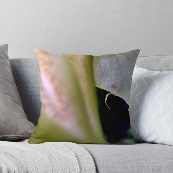 Item preview, Not About To Explore THAT Leg designed and sold by Carla Wick/Jandelle Petters.
