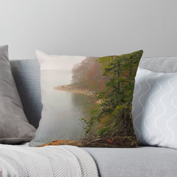 Item preview, Coastline in Fog, Blue Hill Peninsula, Maine designed and sold by fauselr.