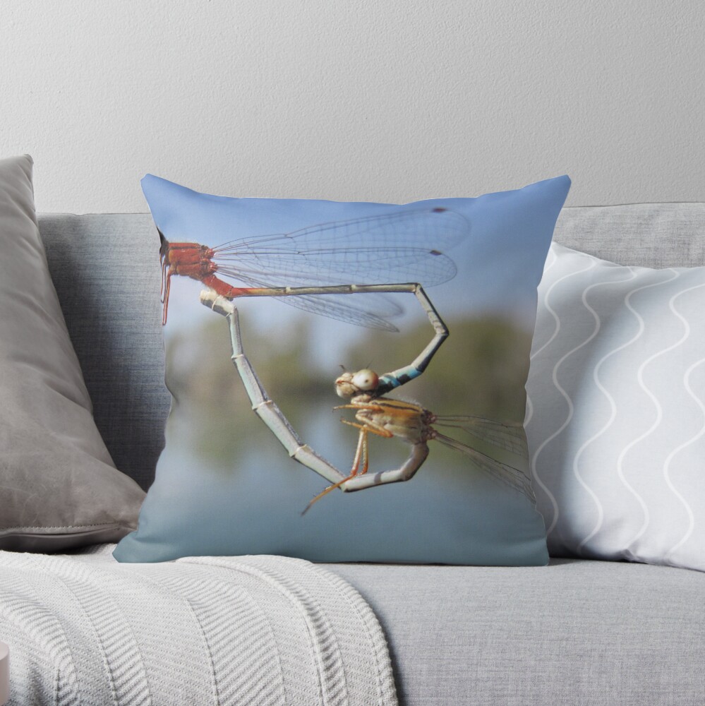 Ah Oh Throw Pillow