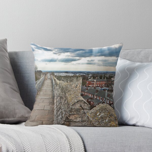 Artikelvorschau, Lincoln fron the castle battlements entworfen und verkauft von Roy Griffiths.