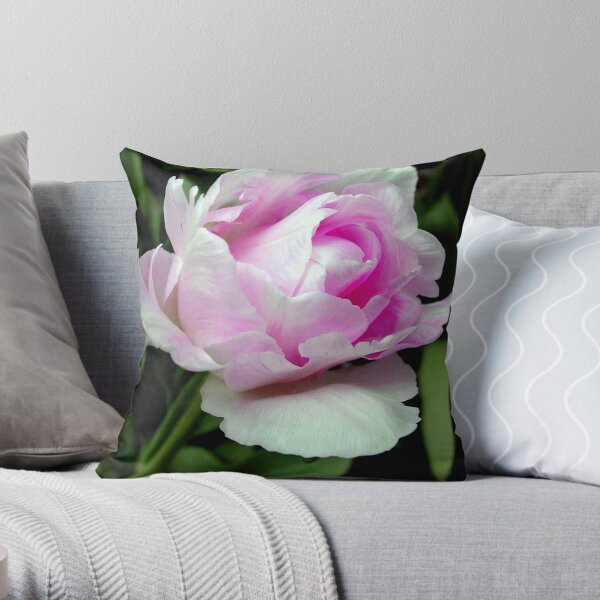 The beauty of a rose!!! © Throw Pillow