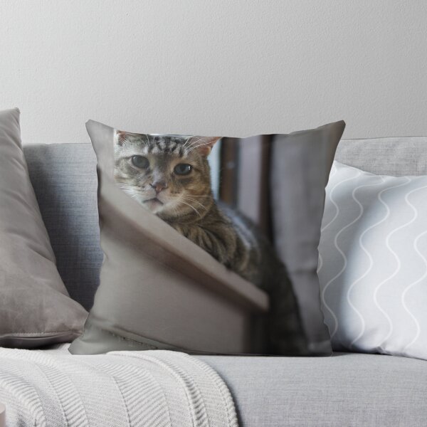 Item preview, buster designed and sold by Dannyboy2247.