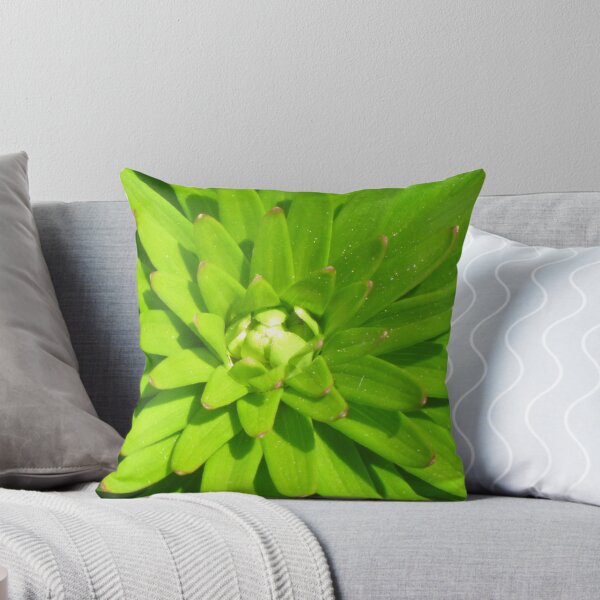 Item preview, Verdant designed and sold by lymbis.