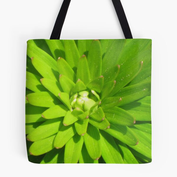 Item preview, Verdant designed and sold by lymbis.