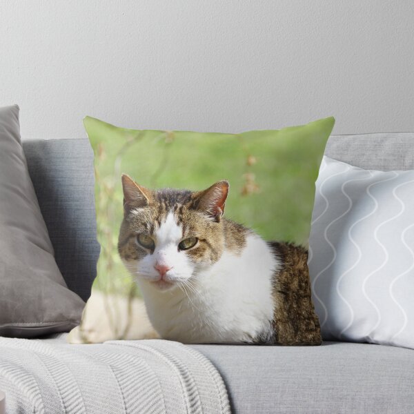 Item preview, Ollie~O  designed and sold by Trina King.