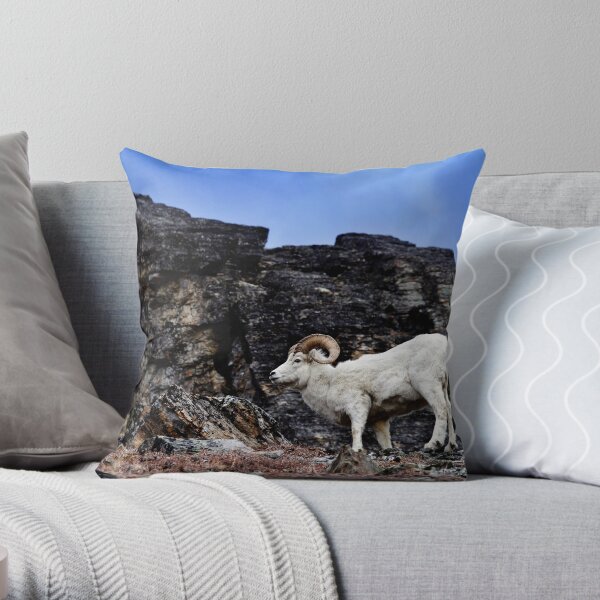 Dall Sheep Throw Pillow