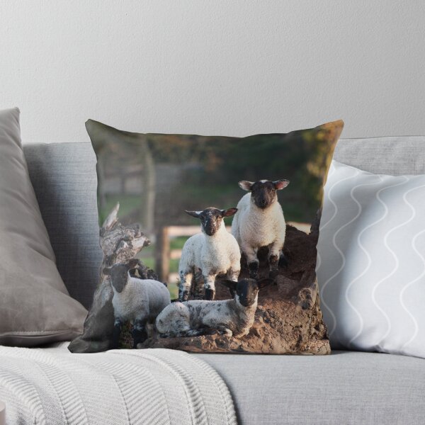 Aperçu de l'œuvre Spring Lambs créée et vendue par ccullen222.