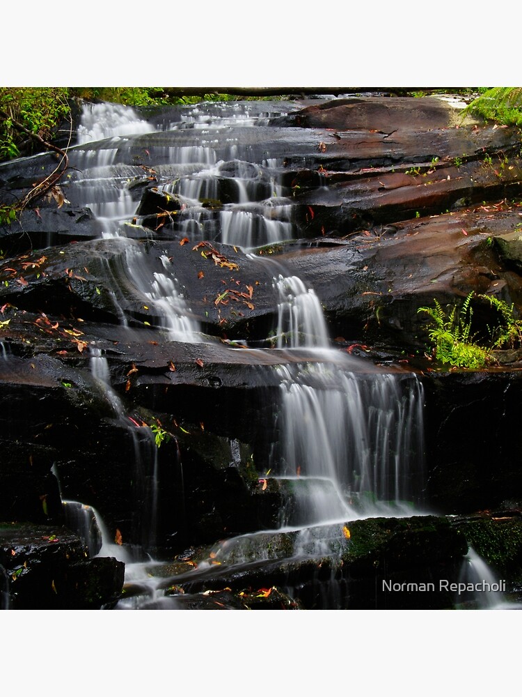 Cora Lynn Cascades Otways National Park by keystone