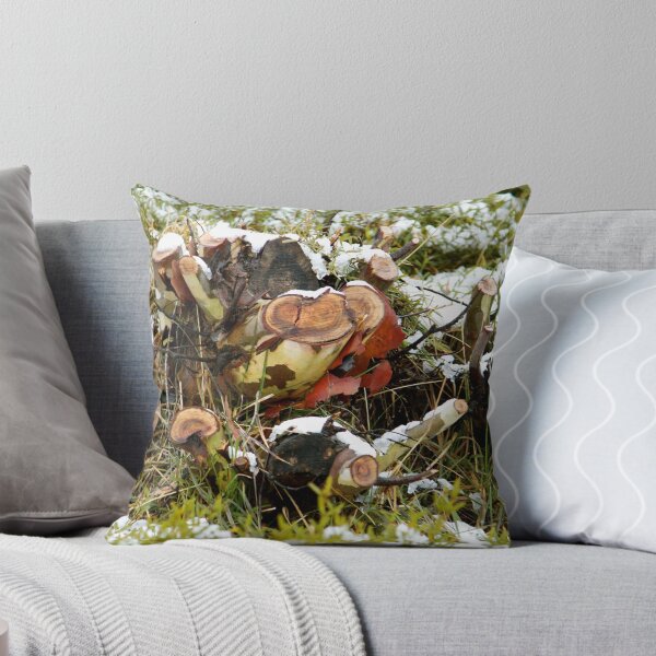 Item preview, The colors of nature designed and sold by seashells.