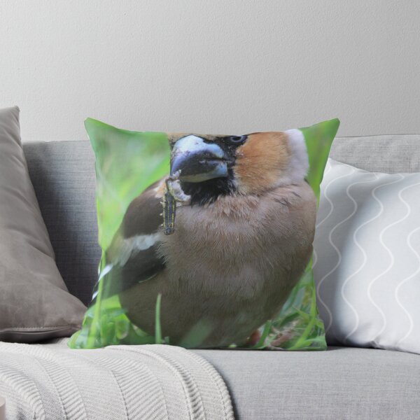 Item preview, Hawfinch (Coccothraustes coccothraustes) designed and sold by DutchLumix.