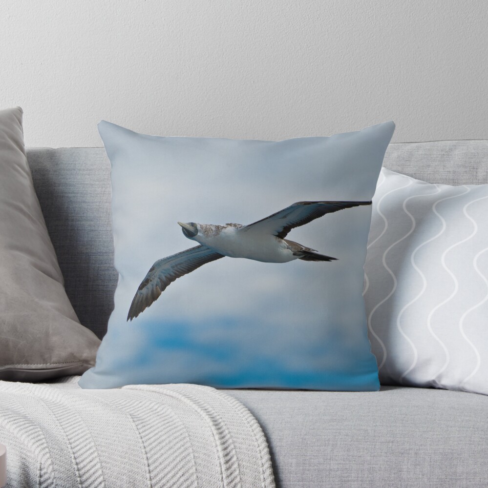 Seagull in Flight Throw Pillow