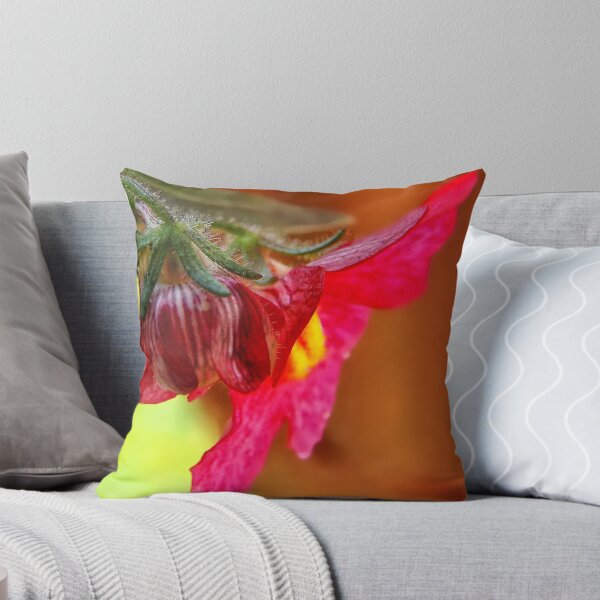 Item preview, Nemisia 'Juicy Fruits Watermelon' designed and sold by Heather Haderly.