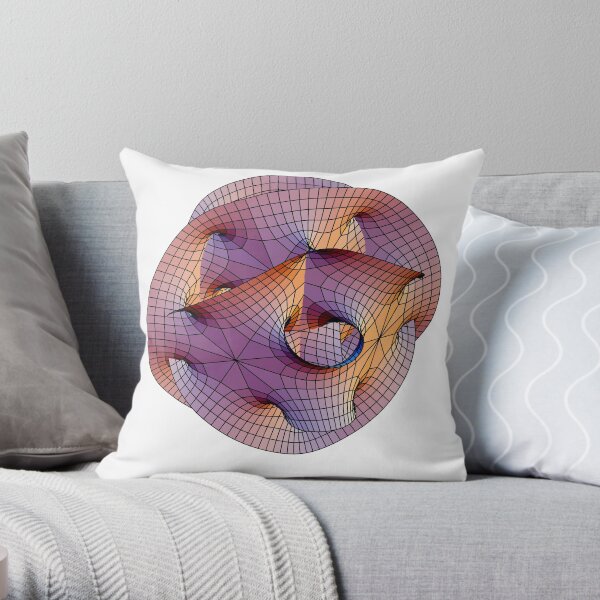 Throw Pillow