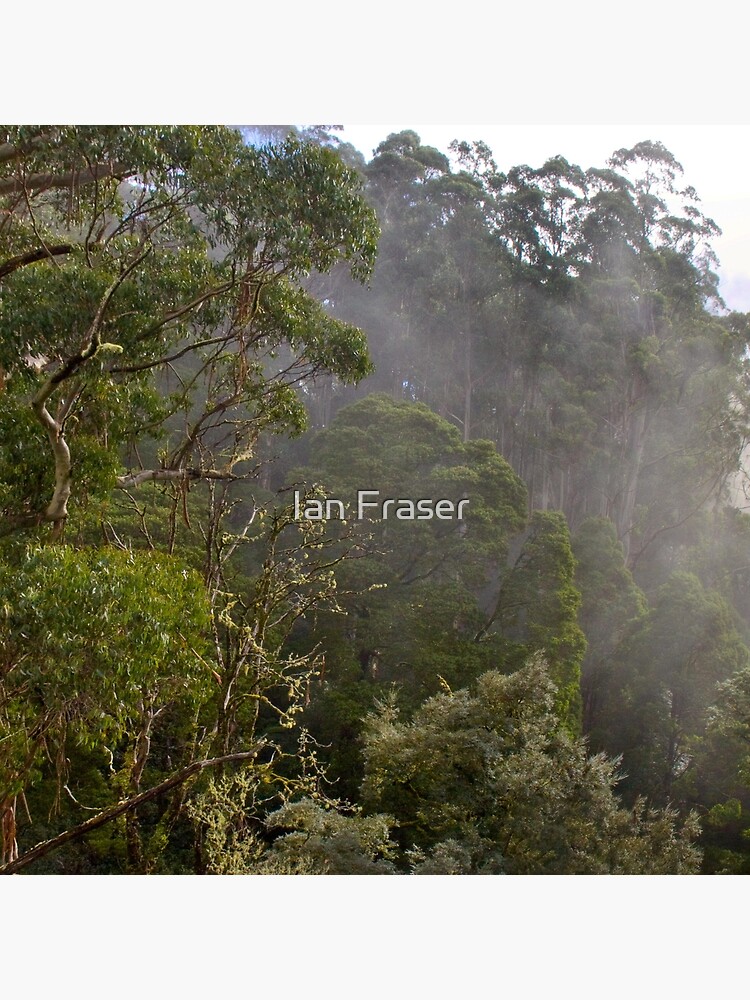 Tree Tops by Mowog