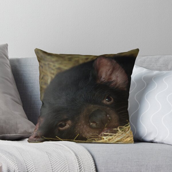 Item preview, Tasmanian Devil designed and sold by Caroline  Lloyd.