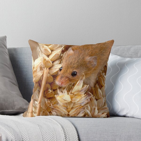 Item preview, Harvest Mouse (2) designed and sold by Val Saxby.