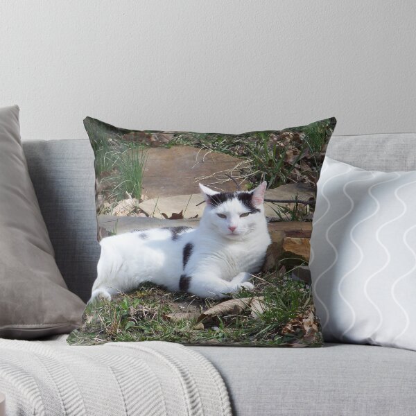 Item preview, Enjoying The Morning Sun designed and sold by James Brotherton.