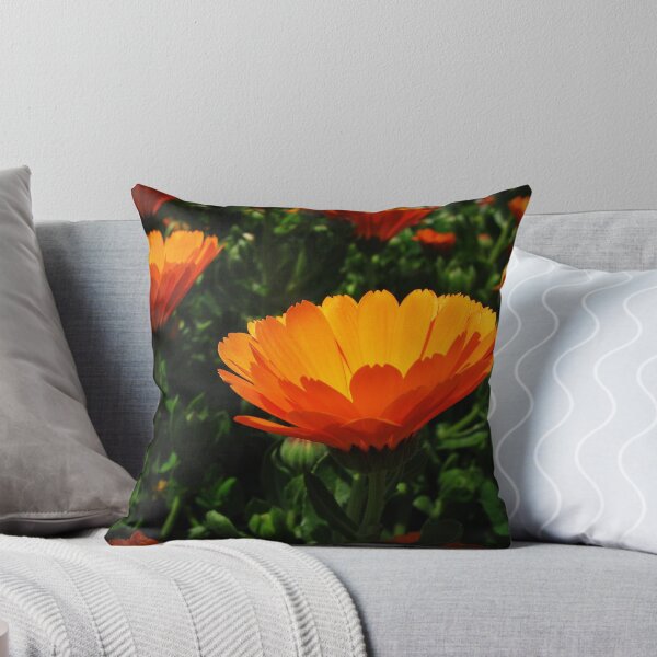 Item preview, Calendula designed and sold by rasim1.