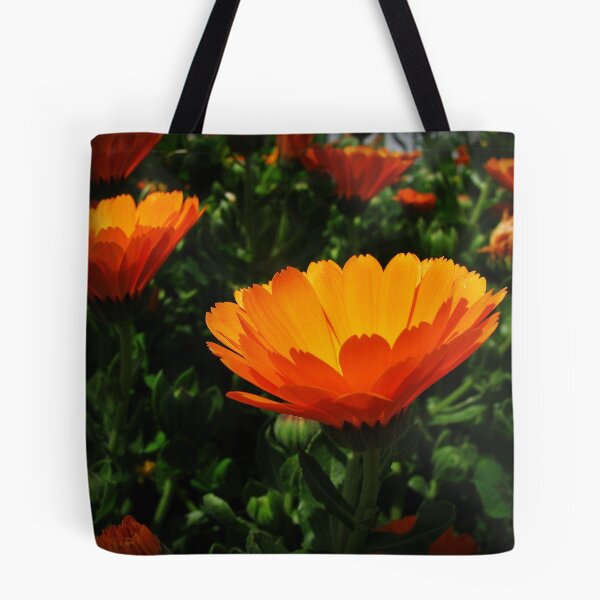 Item preview, Calendula designed and sold by rasim1.